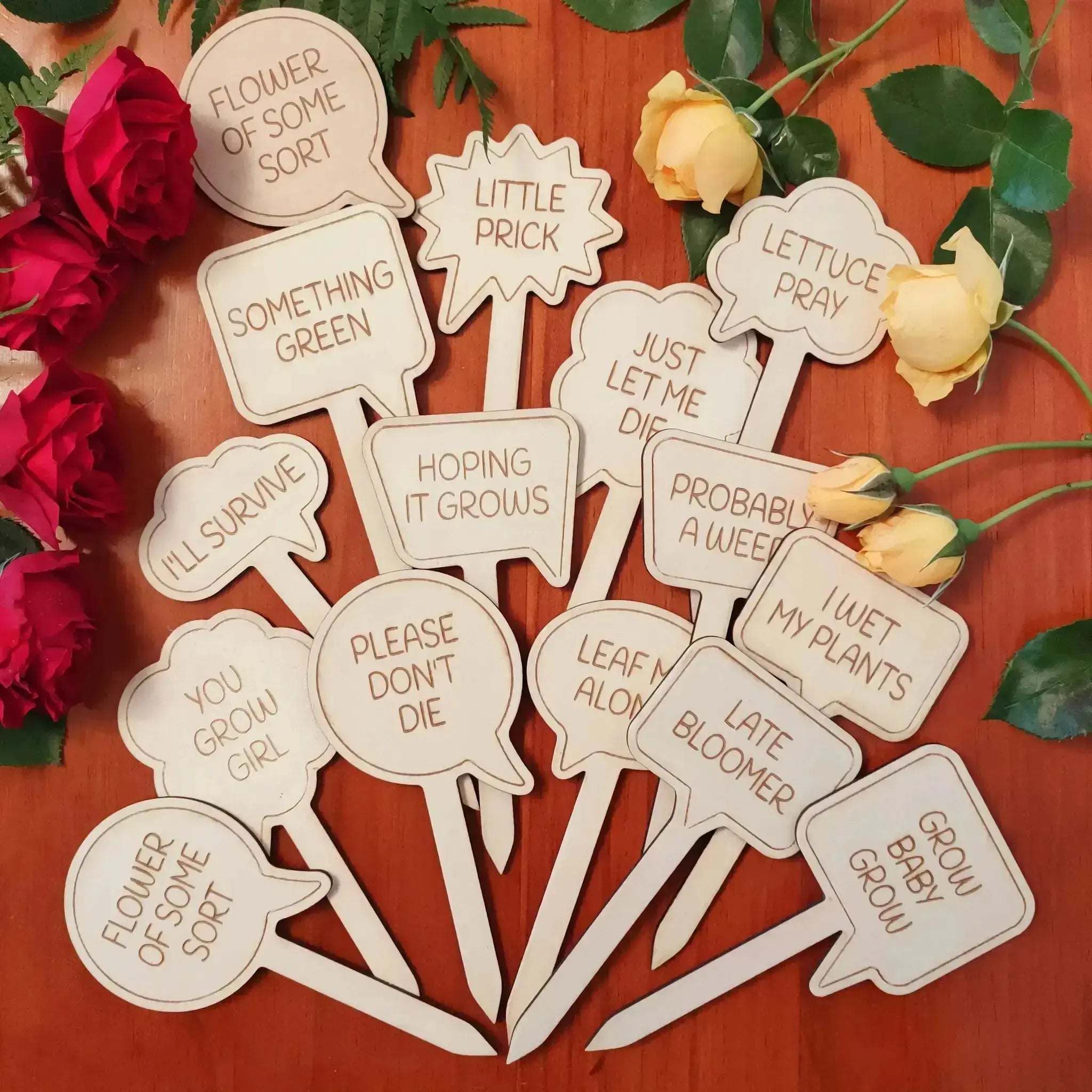 Funny Sayings Garden Markers (Set of 4) Burn Wow