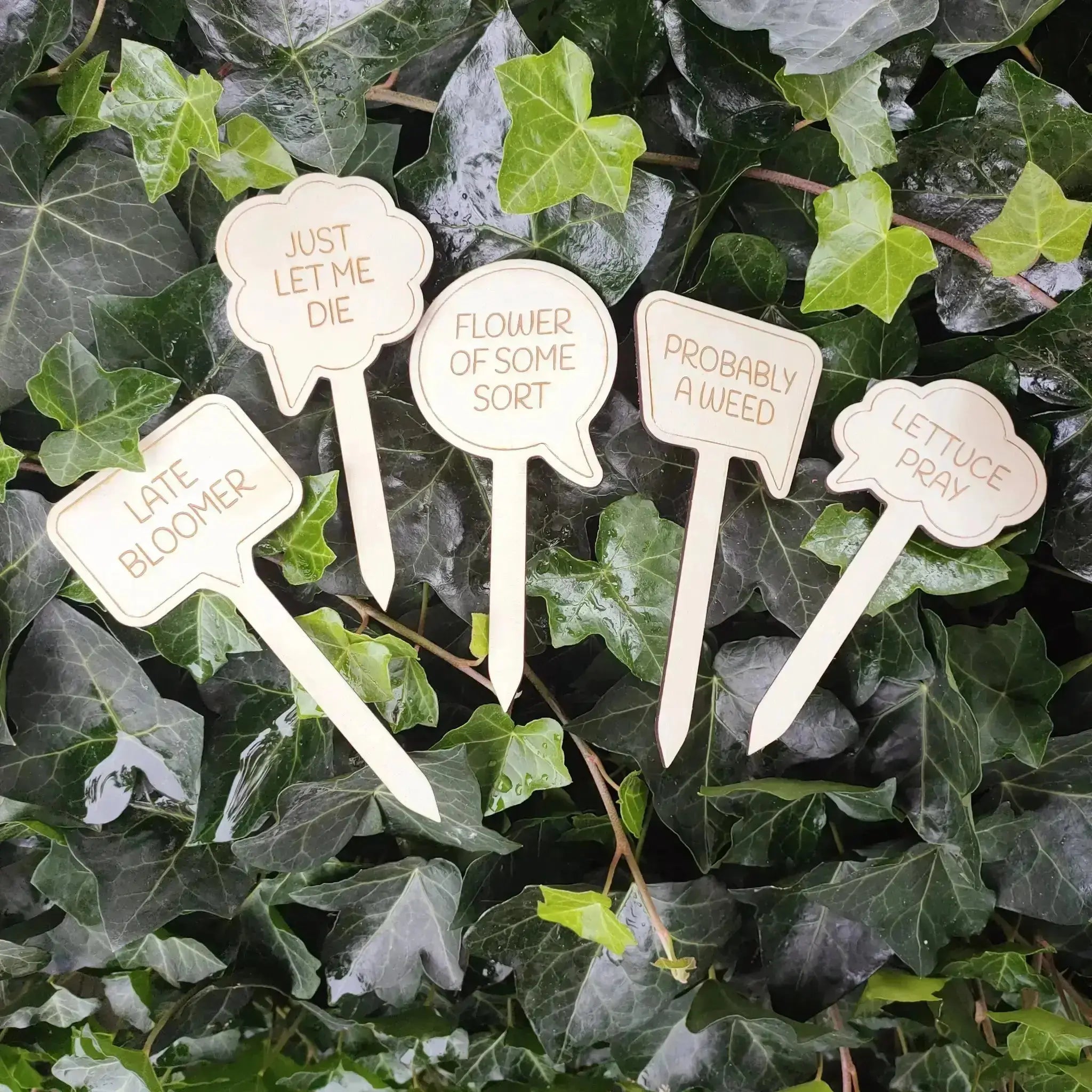 Funny Sayings Garden Markers (Set of 4) Burn Wow