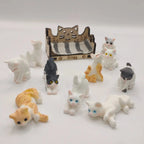 Emotional Support Cat Bench with Pet Burn Wow