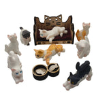 Emotional Support Cat Bench with Pet Burn Wow